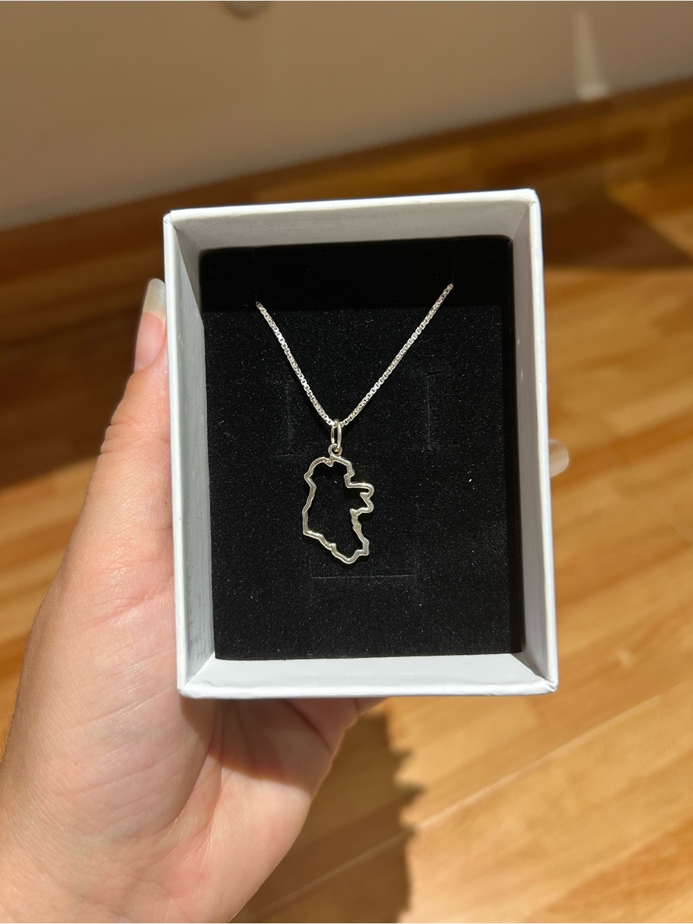 Sterling Silver Ireland Outline Pendant Necklace - Silver